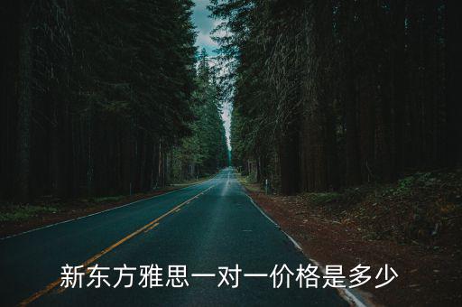 新東方雅思一對一價格是多少