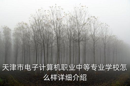 天津市電子計算機職業中等專業學校怎么樣詳細介紹