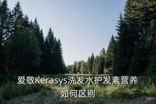 愛(ài)敬Kerasys洗發(fā)水護(hù)發(fā)素營(yíng)養(yǎng)如何區(qū)別