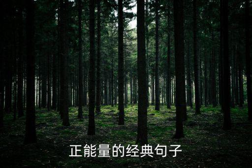 正能量的句子，干凈正能量的文案短句有哪些