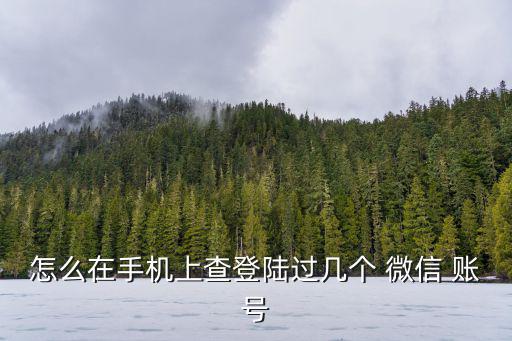 怎么在手機上查登陸過幾個 微信 賬號
