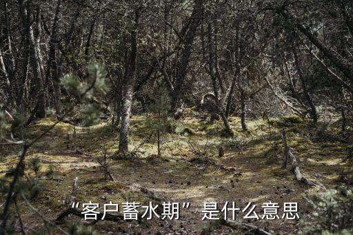 預熱期,全球速賣通雙11預熱期、正式期、期活動分階段進行