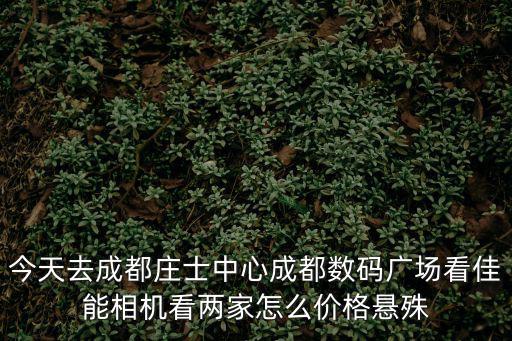 成都市中央花園四期15，815甘肅哀悼成都國色天香15日可以耍不