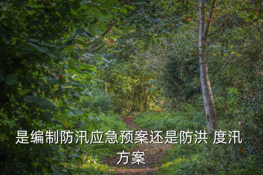 度汛方案,防洪總動員部隊到場協助應對突發事件