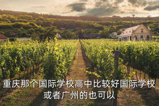 國際高中排名好的是哪個，重慶那個國際學校高中比較好國際學?；蛘邚V州的也可以
