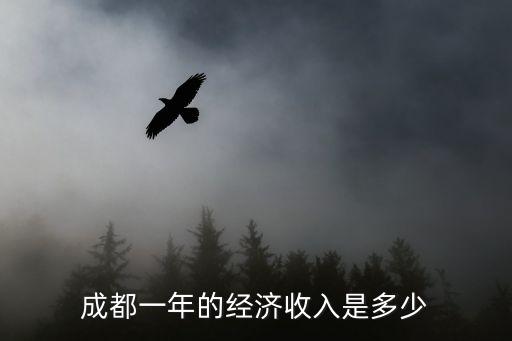 成都一年的經濟收入是多少