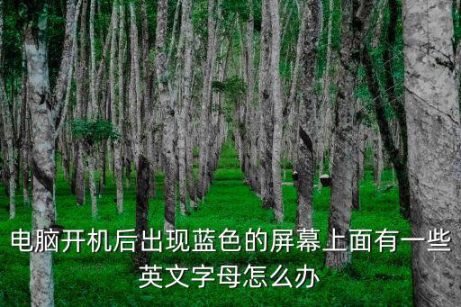 電腦開機后出現(xiàn)藍色的屏幕上面有一些英文字母怎么辦