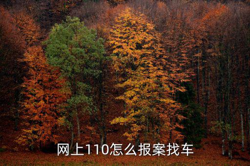 110線上報案，網上110怎么報案找車