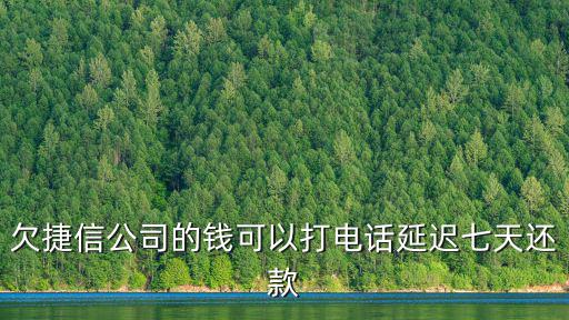 95188協商延期還款，網貸可以協商嗎延期還款嗎