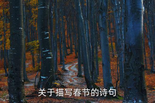 關(guān)于描寫春節(jié)的詩句