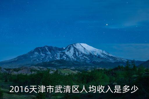 2016天津市武清區人均收入是多少