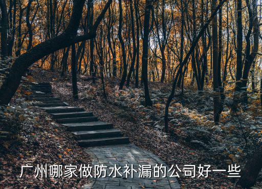 廣州哪家做防水補漏的公司好一些