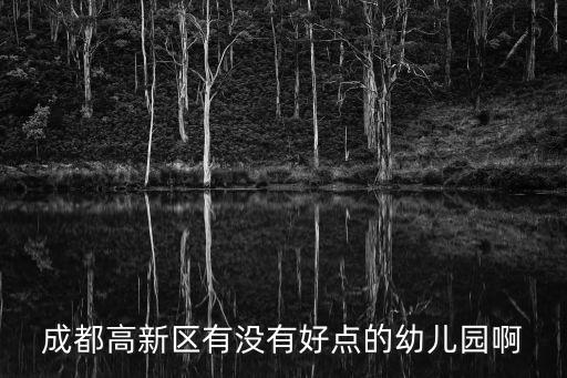 成都高新區(qū)有沒有好點的幼兒園啊