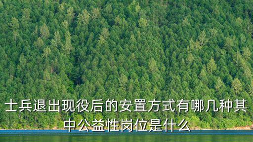 士兵退出現役后的安置方式有哪幾種其中公益性崗位是什么