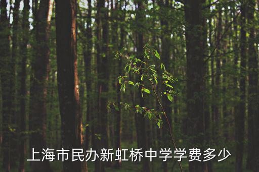 上海市民辦新虹橋中學(xué)學(xué)費多少
