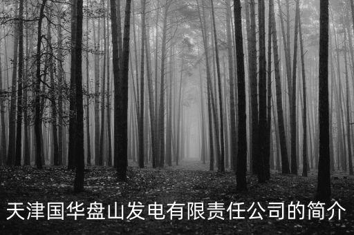天津國華盤山發(fā)電有限責(zé)任公司的簡介