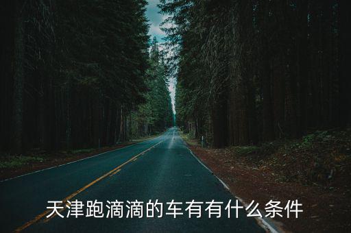 天津跑滴滴的車有有什么條件