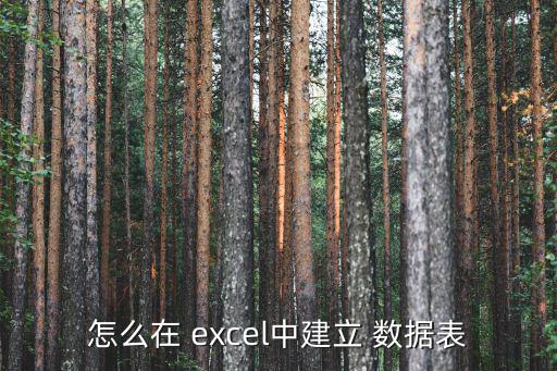 怎么在 excel中建立 數(shù)據(jù)表