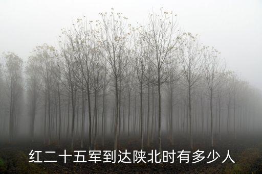 紅二十五軍,七仙女照顧傷員陜甘邊防軍被稱為鐵齒嫂