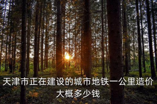 建設(shè)天津市總花多少錢(qián)，天津現(xiàn)在還有城市建設(shè)費(fèi)嗎