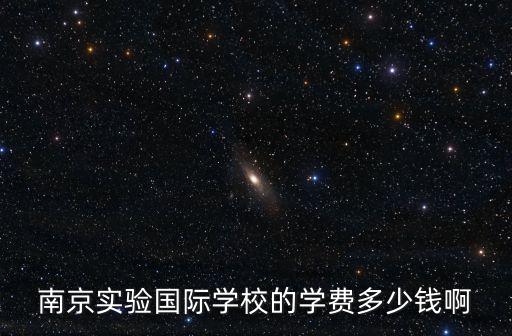 南京實(shí)驗(yàn)國際學(xué)校的學(xué)費(fèi)多少錢啊