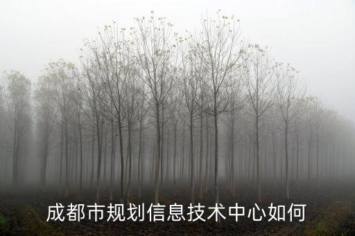 成都市規劃信息技術中心如何