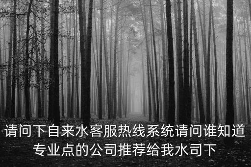請問下自來水客服熱線系統請問誰知道專業點的公司推薦給我水司下