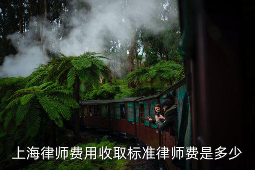 上海律師費用收取標準律師費是多少