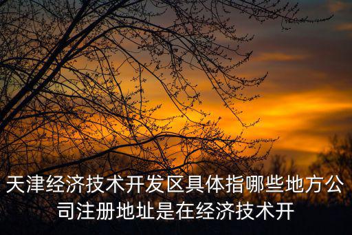 天津經濟技術開發區具體指哪些地方公司注冊地址是在經濟技術開