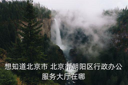 想知道北京市 北京市朝陽區(qū)行政辦公服務(wù)大廳在哪