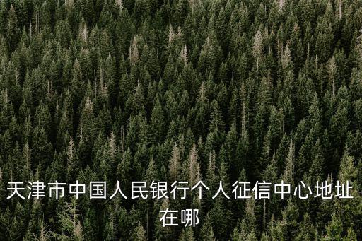 天津市中國人民銀行個人征信中心地址在哪