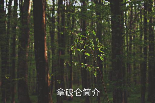  拿破侖簡介