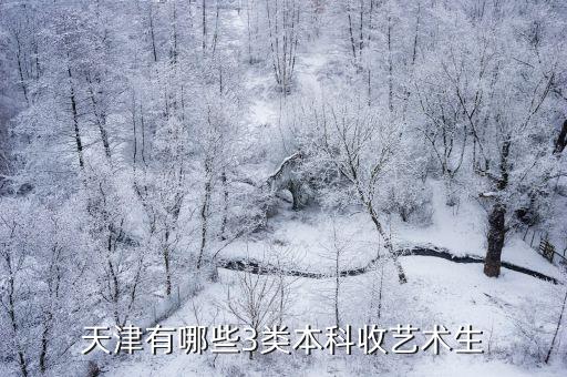 天津有哪些3類本科收藝術生