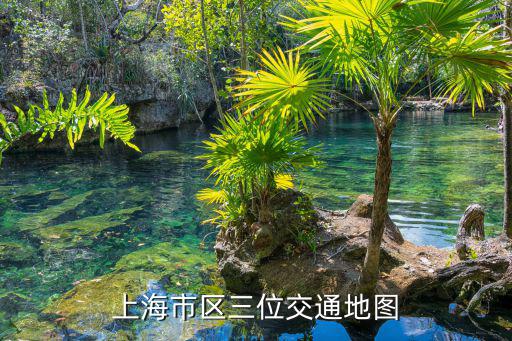 上海市區(qū)三位交通地圖