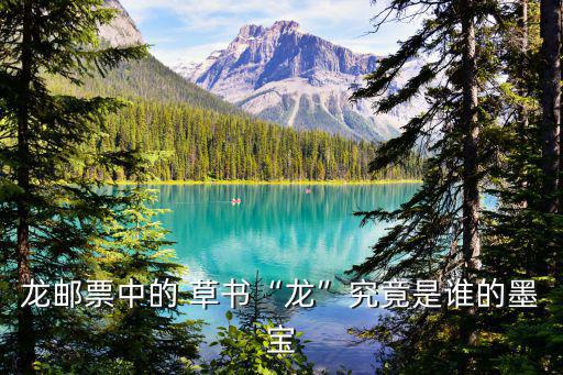 龍字草書,用業務簽名寫行書的特點:筆跡端正流暢接近楷書
