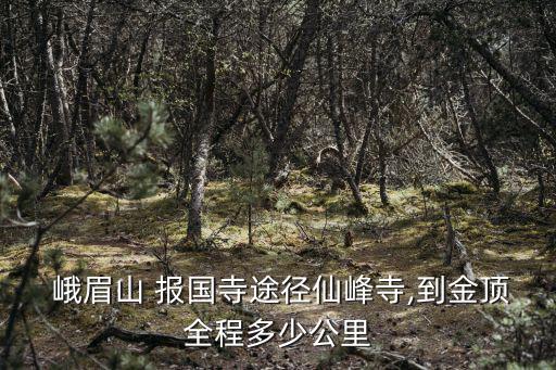  峨眉山 報國寺途徑仙峰寺,到金頂全程多少公里