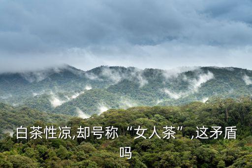 白茶性涼,卻號稱“女人茶”,這矛盾嗎