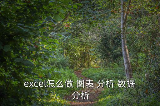 數據圖表與分析,數據分析工具包括切片器和數據規表