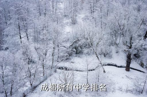 成都市主城區教育排名，成都市區初中排名