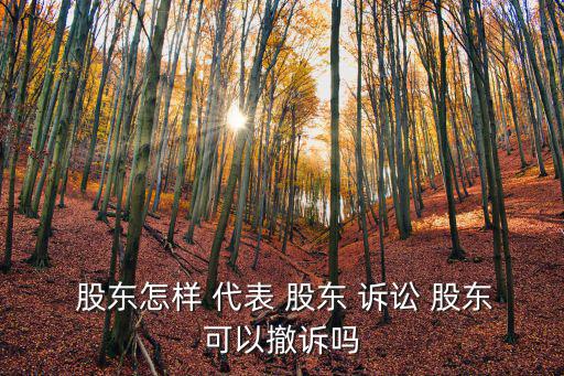  股東怎樣 代表 股東 訴訟 股東可以撤訴嗎