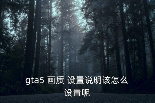 gta5 畫質(zhì) 設(shè)置說明該怎么 設(shè)置呢