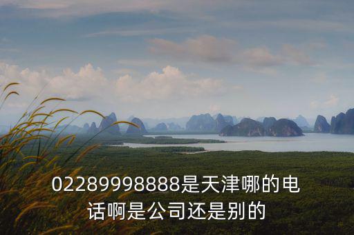 02289998888是天津哪的電話啊是公司還是別的