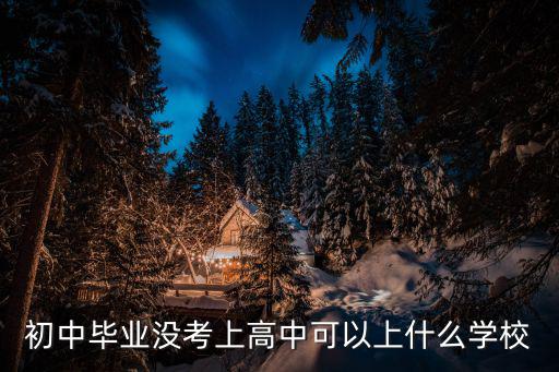 初中畢業沒考上高中可以上什么學校