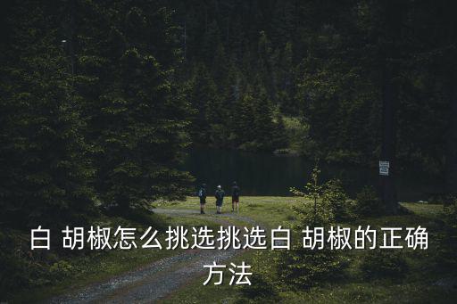 白 胡椒怎么挑選挑選白 胡椒的正確方法