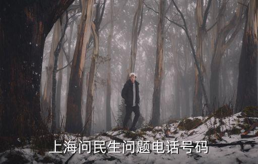 上海問民生問題電話號碼