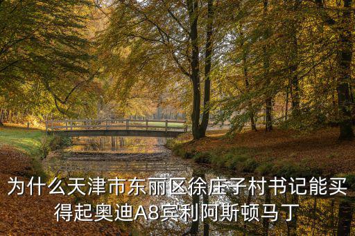 天津市東麗徐莊子拆遷規劃圖，天津徐莊子振東物流集團什么時間拆遷
