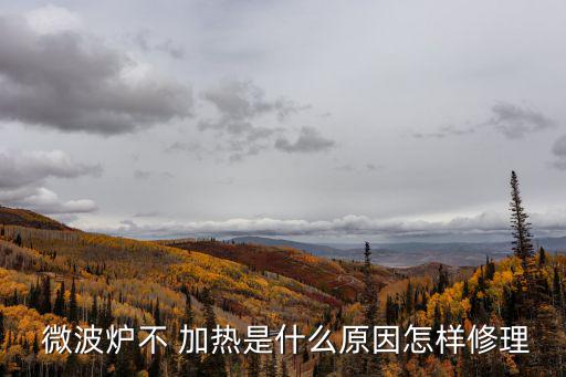  微波爐不 加熱是什么原因怎樣修理