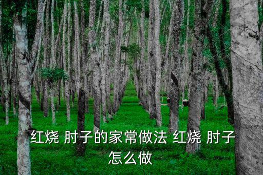  紅燒 肘子的家常做法 紅燒 肘子怎么做
