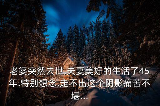 老婆突然去世,夫妻美好的生活了45年.特別想念,走不出這個(gè)陰影痛苦不堪...