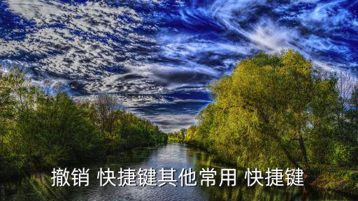 撤銷 快捷鍵其他常用 快捷鍵